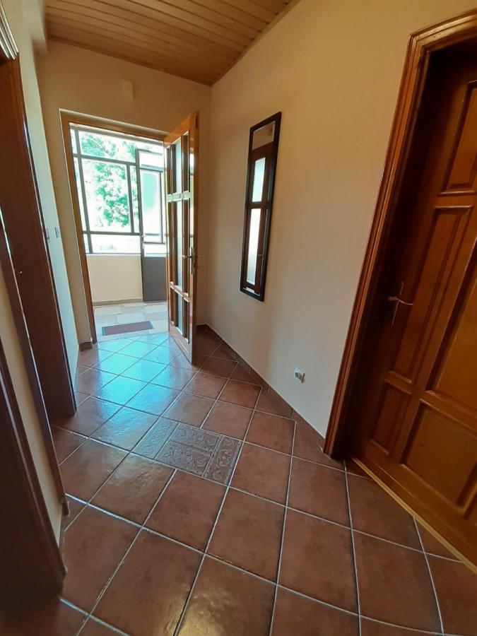 סטינג'ה Apartman Damjanovic מראה חיצוני תמונה