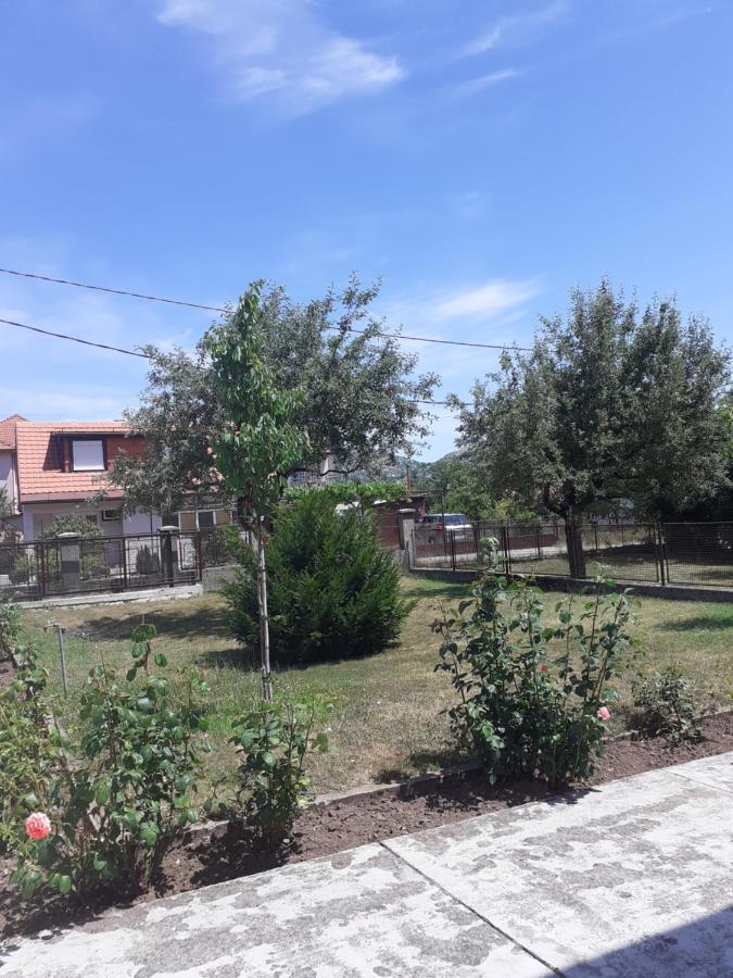 סטינג'ה Apartman Damjanovic מראה חיצוני תמונה